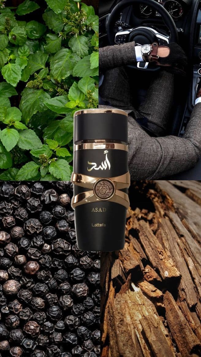 Gammes de Parfums Oriental - Dubai Negoce